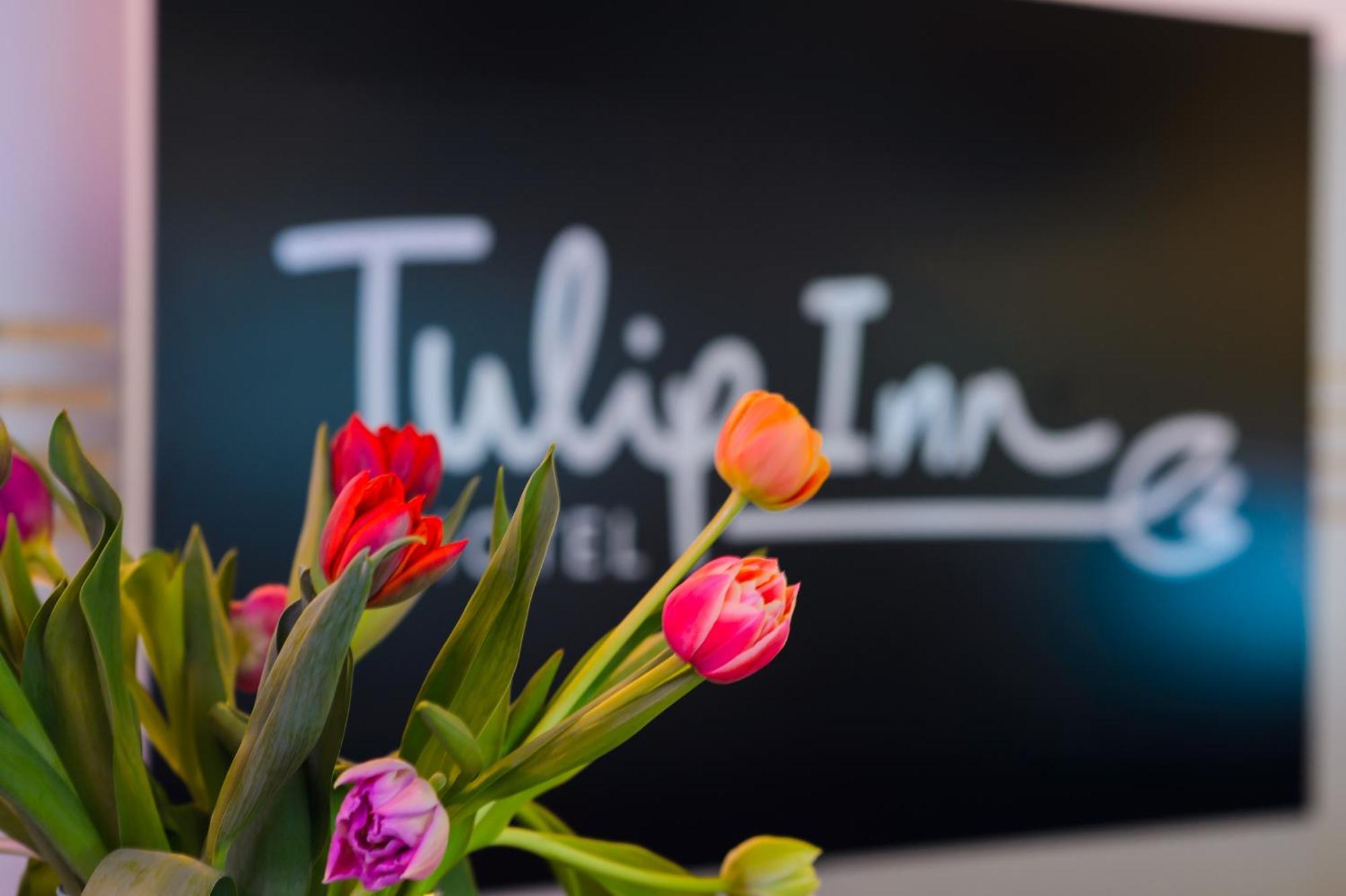 Hotel Tulip 4*